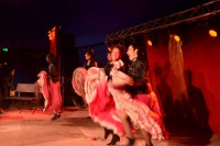 /album/les-photos/xth-4812-jpg/