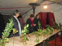 /album/les-photos/img-2455-jpg/