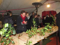 /album/les-photos/img-2457-jpg/