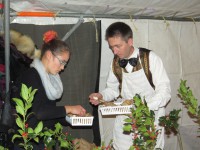 /album/les-photos/img-2472-jpg/